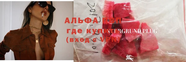 ПСИЛОЦИБИНОВЫЕ ГРИБЫ Вязники